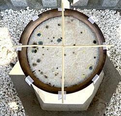 【千栗八幡宮】お粥試し神事の画像