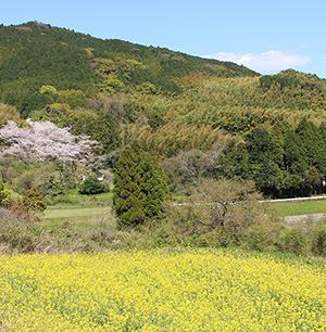 【山田の風】山田地区の里山をめぐる 風景ウォッチングの画像