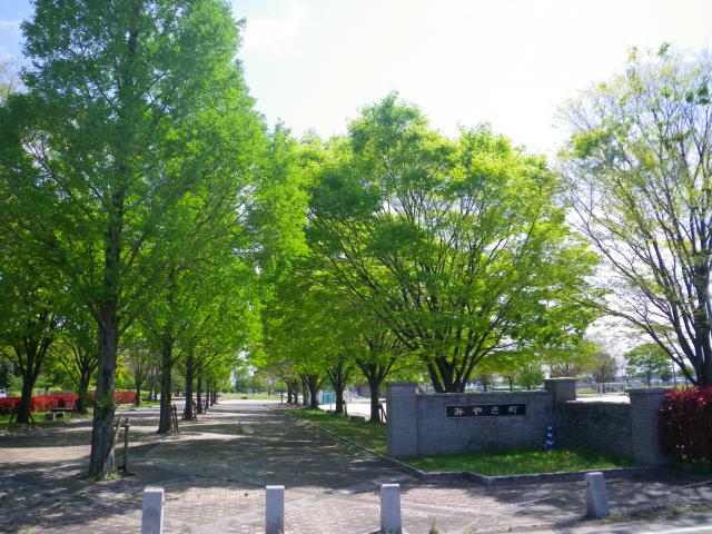 【みやき歩こう会】中津隈〜中原公園を歩こうの画像